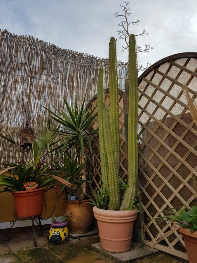 Hébergement de vacances La Casa Azul